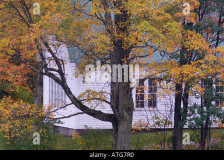 Old school house blanc caché dans les bois de Keswick Ridge, New Brunswick, Canada Banque D'Images