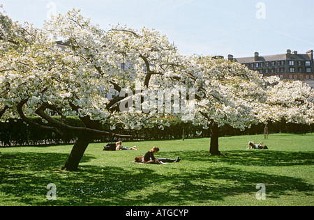 Regents Park Londres Banque D'Images