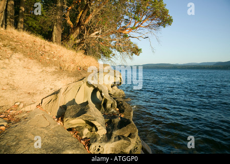 L'île des îles Gulf, British Columbia Canada Banque D'Images