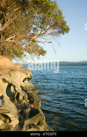 L'île des îles Gulf, British Columbia Canada Banque D'Images