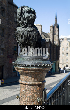 dh Greyfrairs statue Bobby VIEILLE VILLE MÉMORIAL D'ÉDIMBOURG à Auld Jock Grays Skye terrier, chien britannique historique de greyfriars Banque D'Images