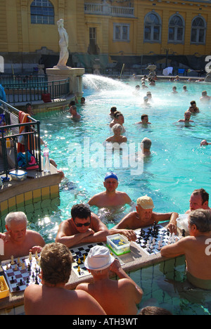 Piscine thermale de plein air, des bains Szechenyi, Varosliget, Pest, Budapest, Hongrie Banque D'Images