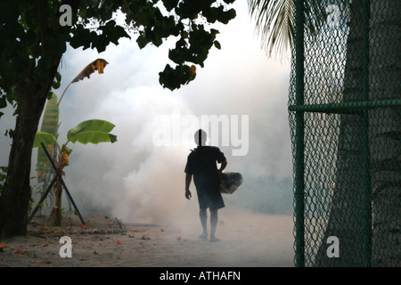 Man spraying vapeurs de diesel contre les moustiques dans les Maldives dans les palmiers sur la plage de sable d'un atoll de paradis Banque D'Images