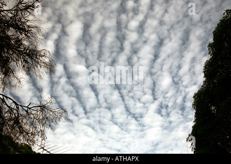 L'Altocumulus Undulatus Nuages Banque D'Images