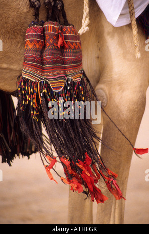 In-Gall, près d'Agadez, au Niger. Décorations chameau touareg Banque D'Images