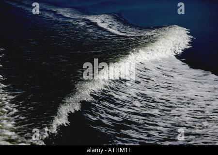 Service de bateau [3] à Masset Inlet, les îles de la Reine-Charlotte (Haida Gwaii), Canada Banque D'Images