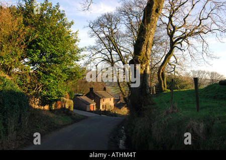 Un paysage rural,situé sur le Staffordshire Moorlands en Angleterre. Banque D'Images