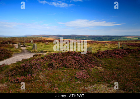 Les douze apôtres, Ilkley Moor, Ilkley, West Yorkshire, Angleterre, Royaume-Uni. Banque D'Images