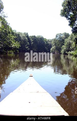 Balade en canoë depuis le village de Miami en Parque Nacional Punta Sal/Jeanette Kawas près de Tela sur la côte nord du Honduras. Banque D'Images