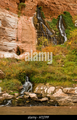 Vasey s paradis sur la rivière Colorado dans le Grand Canyon National Park Arizona Banque D'Images