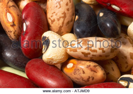 Un certain nombre de rouge et noir les haricots rouges pâles, les fèves, les haricots pinto, haricots flagolet Banque D'Images