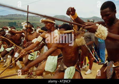 Danseurs d'effectuer la danse zoulou traditionnel en Afrique du Sud Banque D'Images