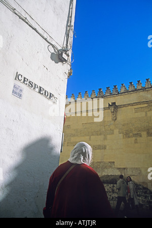 En admirant la Mezquita Banque D'Images