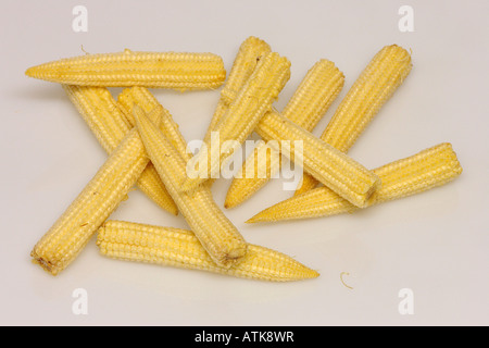 Maïs / maïs Banque D'Images