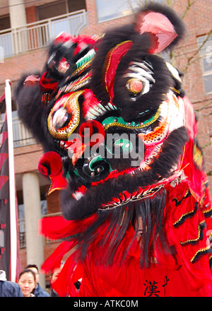 Danse du Lion au cours de la célébration du Nouvel An chinois à Vancouver,Canada. Banque D'Images