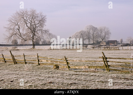 Givre transforme les terres agricoles à Bellerby près de Leyburn, North Yorkshire Banque D'Images