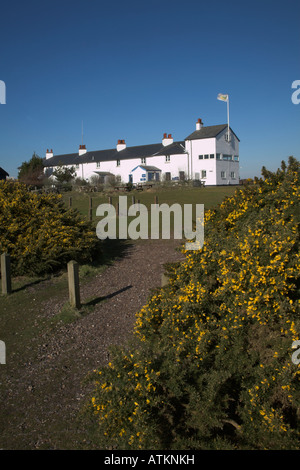 Coastguard cottages, Dunwich Heath, Suffolk, Angleterre Banque D'Images