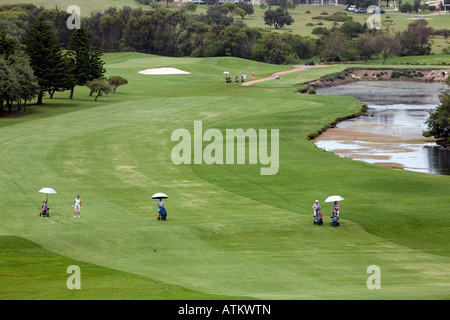 Chers à monter l'allée pendant une journée de golf, mona vale golf club, Sydney, Australie Banque D'Images