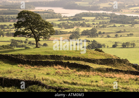 Vue depuis les blattes vers Tittesworth réservoir, Staffordhire Moorlands, près de Leek, Staffordshire, Angleterre Banque D'Images