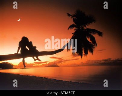 Quartier de lune couple sitting on palm tree trunk se penchant sur plage au coucher du soleil Banque D'Images