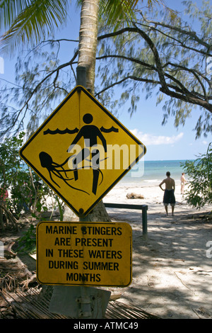 Signe de sécurité jaune avertit de stinger fort dangereuses méduses en été sur la plage de Cape Tribulation Queensland Nord Banque D'Images