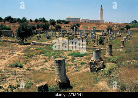Ruines de l'ancienne Carthage Tunisie Banque D'Images