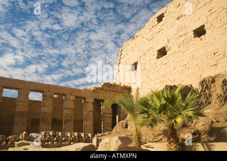 Sphinx tête Ram près du premier pylône dans la grande cour du temple de Karnak Louxor Thèbes Haute Egypte Afrique du Nord Banque D'Images