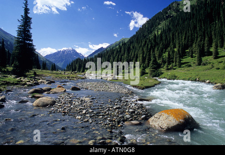 Altyn Arashan vallée avec rivière Arashan Terskey Alatau montagnes Tian Shan au Kirghizistan Banque D'Images