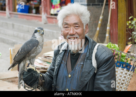 La Chine, Chinese Man Holding Falcon, Lijiang, Yunnan Province Banque D'Images