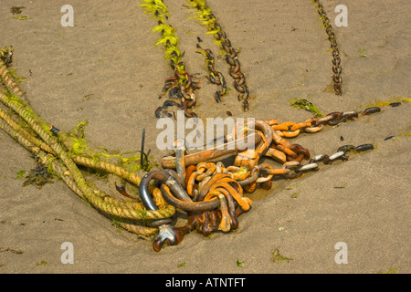 Chaînes et manilles rouillées vieilles vêtues d'algues en partie intégrés dans les cordes de sable du port à marée basse Banque D'Images