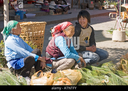 La Chine, le chinois Bai Femme vendant des aiguilles de pin pour le Nouvel An Chinois, Dali, Yunnan Province Banque D'Images