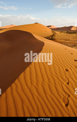 Le Sousouvlei Dunes en Namibie l'Afrique avec des traces de pas dans le sable Banque D'Images