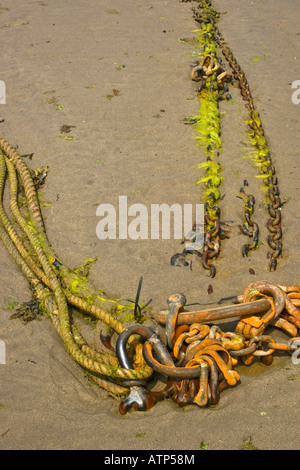 Chaînes et manilles rouillées vieilles vêtues d'algues en partie intégrés dans les cordes de sable du port à marée basse Banque D'Images
