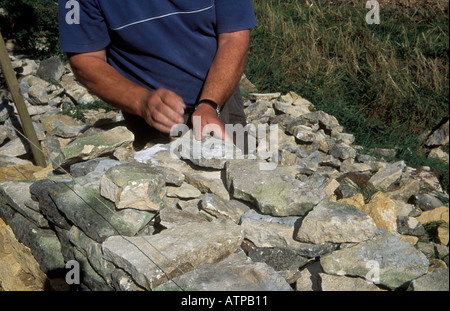 La construction d'un mur de pierres sèches traditionnelles dans les Cotswolds à partir de pierres locales, Banque D'Images