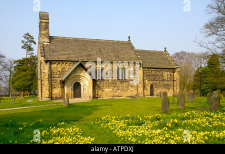 Norman Church of St John the Baptist, Adel, près de Leeds, West Yorkshire, UK, au printemps de jonquilles Banque D'Images