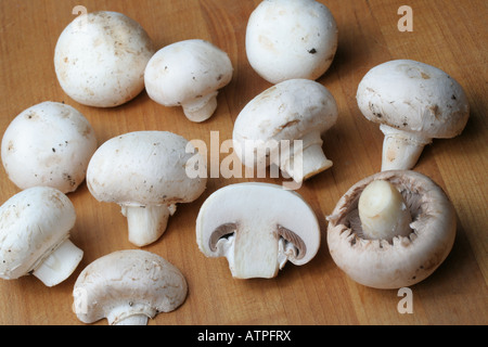 Les champignons de l'Agaricus bisporus, Banque D'Images