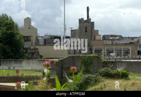 Evans Tower Kilkenny Kilkenny Co osheaphotography www com Banque D'Images