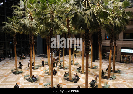 Le Jardin d'hiver du World Financial Center à Battery Park City, Manhattan. Banque D'Images