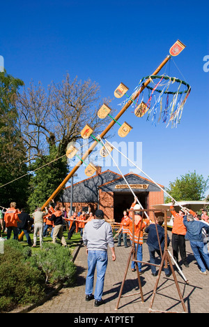 Arbre généalogique mai festival / Farmsen Banque D'Images