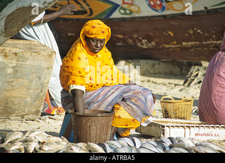 Marché aux poissons, la femme mauritanienne, Plage de peche, Nouakchott, Mauritanie Banque D'Images