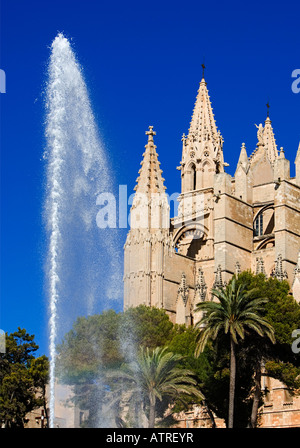 La cathédrale de Palma de Majorque Banque D'Images