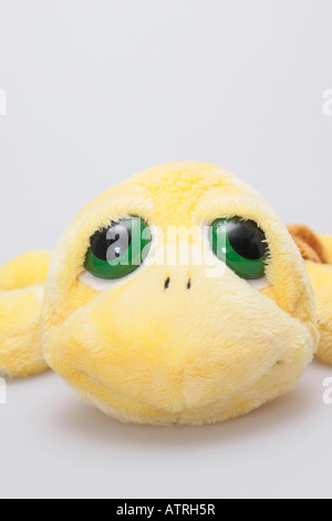 Childs adorable en peluche douce en forme d'une tortue Banque D'Images