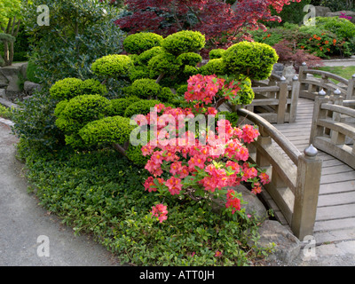 Jardin japonais, Freiburg im Breisgau, Allemagne Banque D'Images