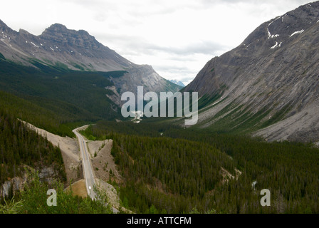 Vue sud le long de la promenade des Glaciers du sommet de la grande colline au point de vue de Big Bend, bord du Parc National Jasper. Banque D'Images