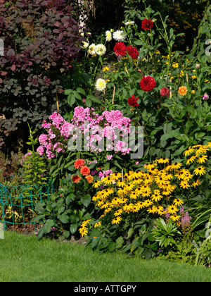 (Rudbeckia fleurs cône), phlox (phlox) et dahlia (Dahlia) Banque D'Images
