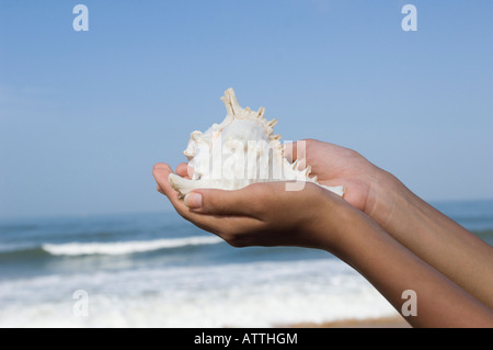 Close-up of a woman's hand holding a conch shell sur la plage Banque D'Images