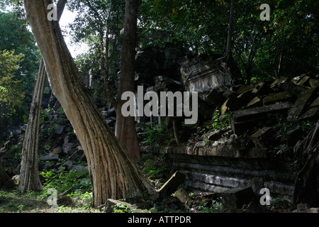 Les arbres poussent parmi les ruines du temple de Beng Mealea Banque D'Images