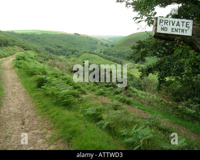 Secteur route déserte près de Oare menant au paysage Devon Banque D'Images