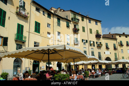 Lucques Piazza dell'Anfiteatro Amphitheatre Lucca Toscane Italie Banque D'Images