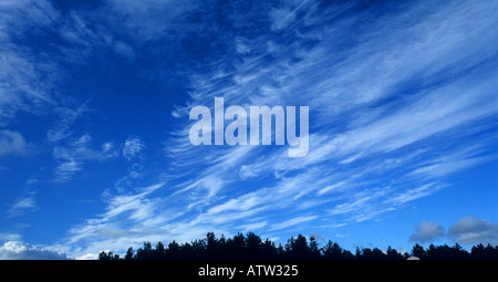 La formation de nuages sur ciel bleu Banque D'Images